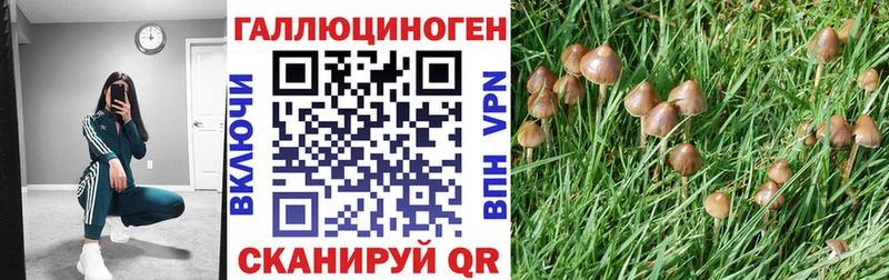 купить   Североморск  Галлюциногенные грибы Magic Shrooms 
